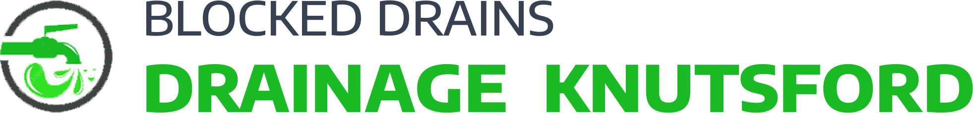 website logo